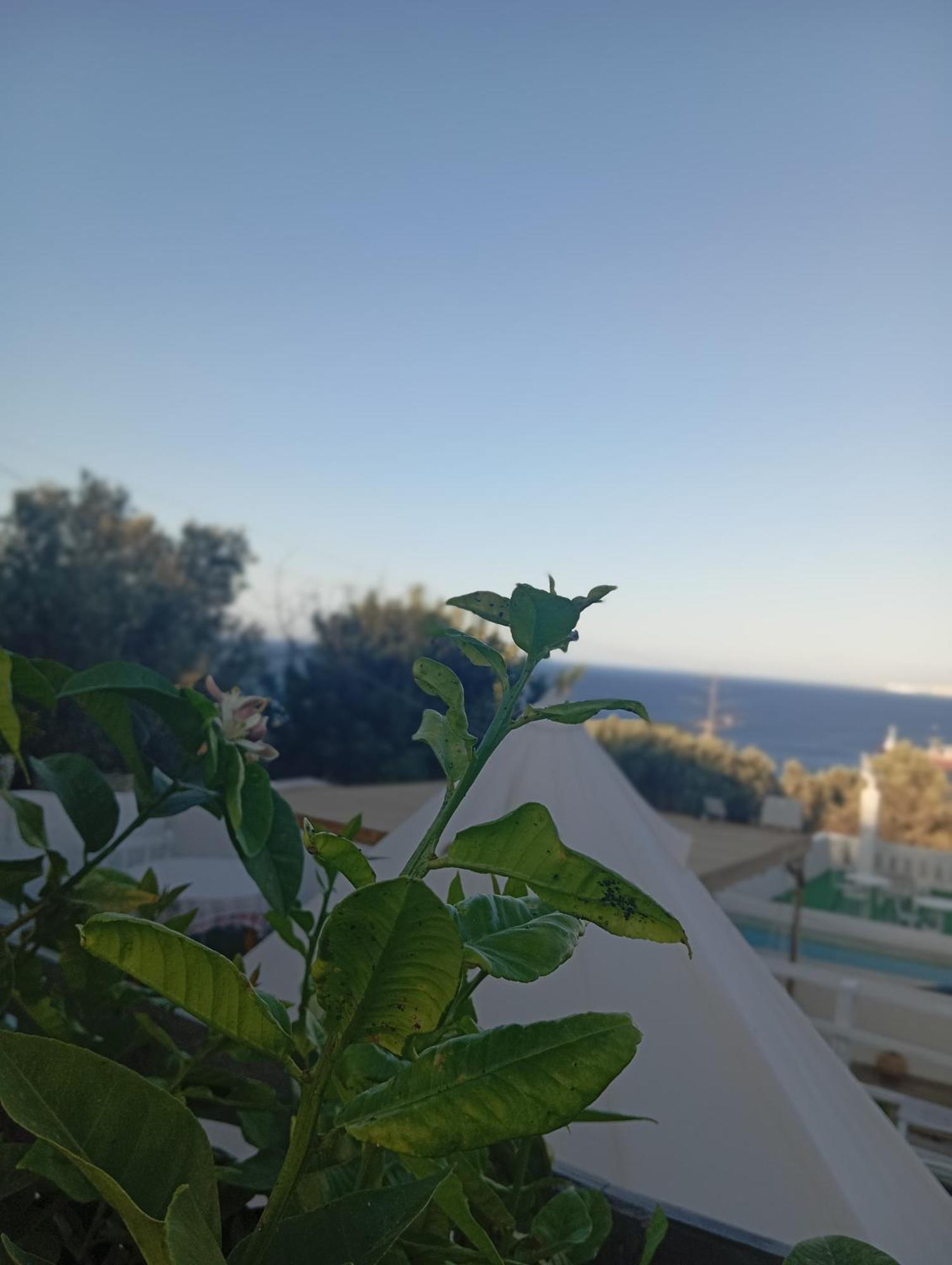 Queens Luxury Glamping Palaiokastro  エクステリア 写真