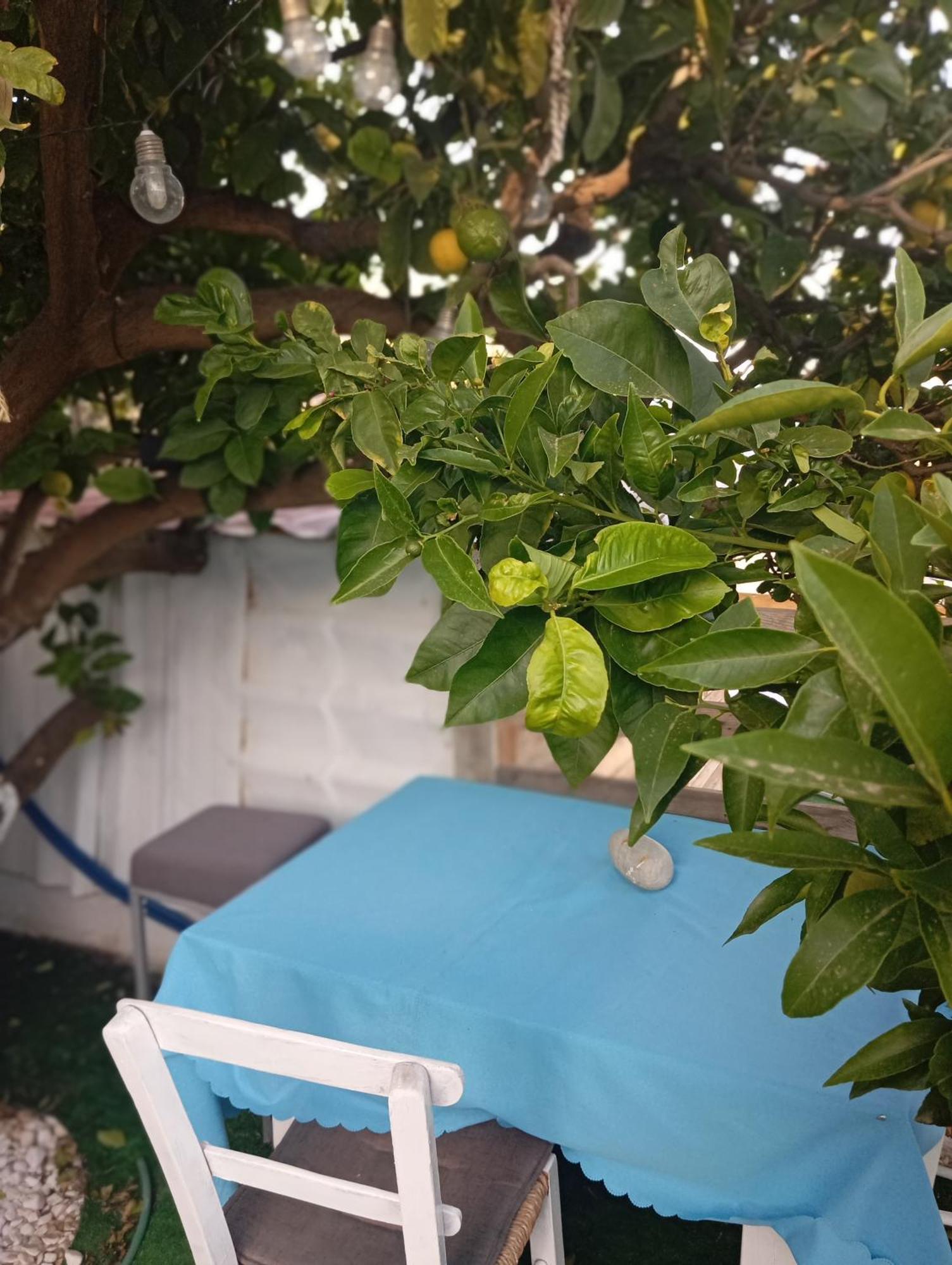 Queens Luxury Glamping Palaiokastro  エクステリア 写真